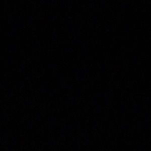 Meet your Posher, Samara